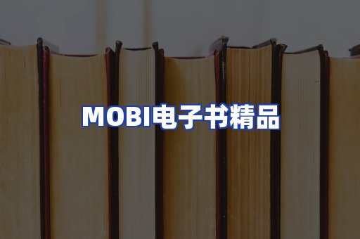 外文电子书产品